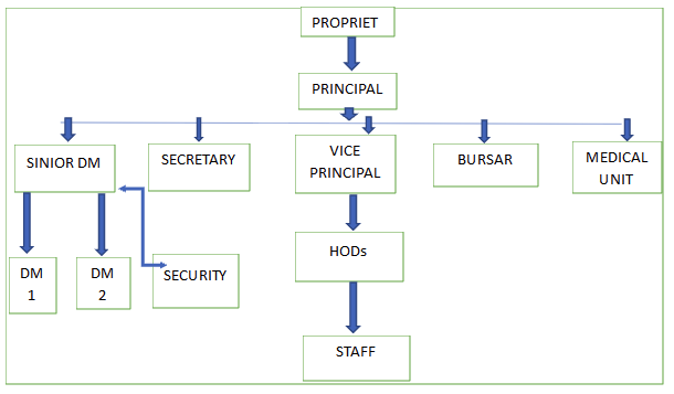 Cohas Bepanda organigram overview